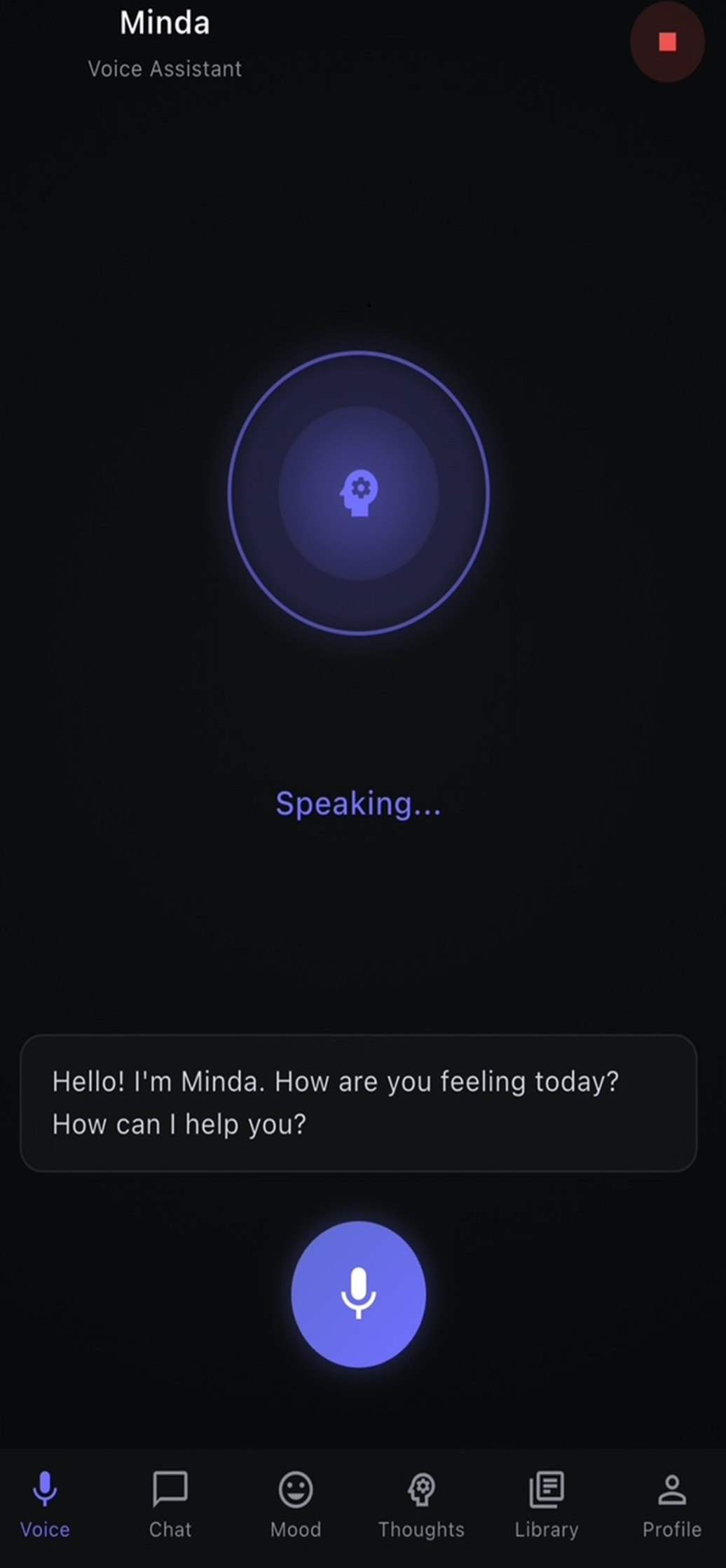 Minda's voice conversation screen